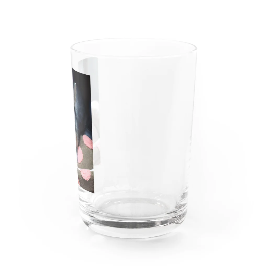 うさぎのお店.のうさぎのPoteo. Water Glass :right