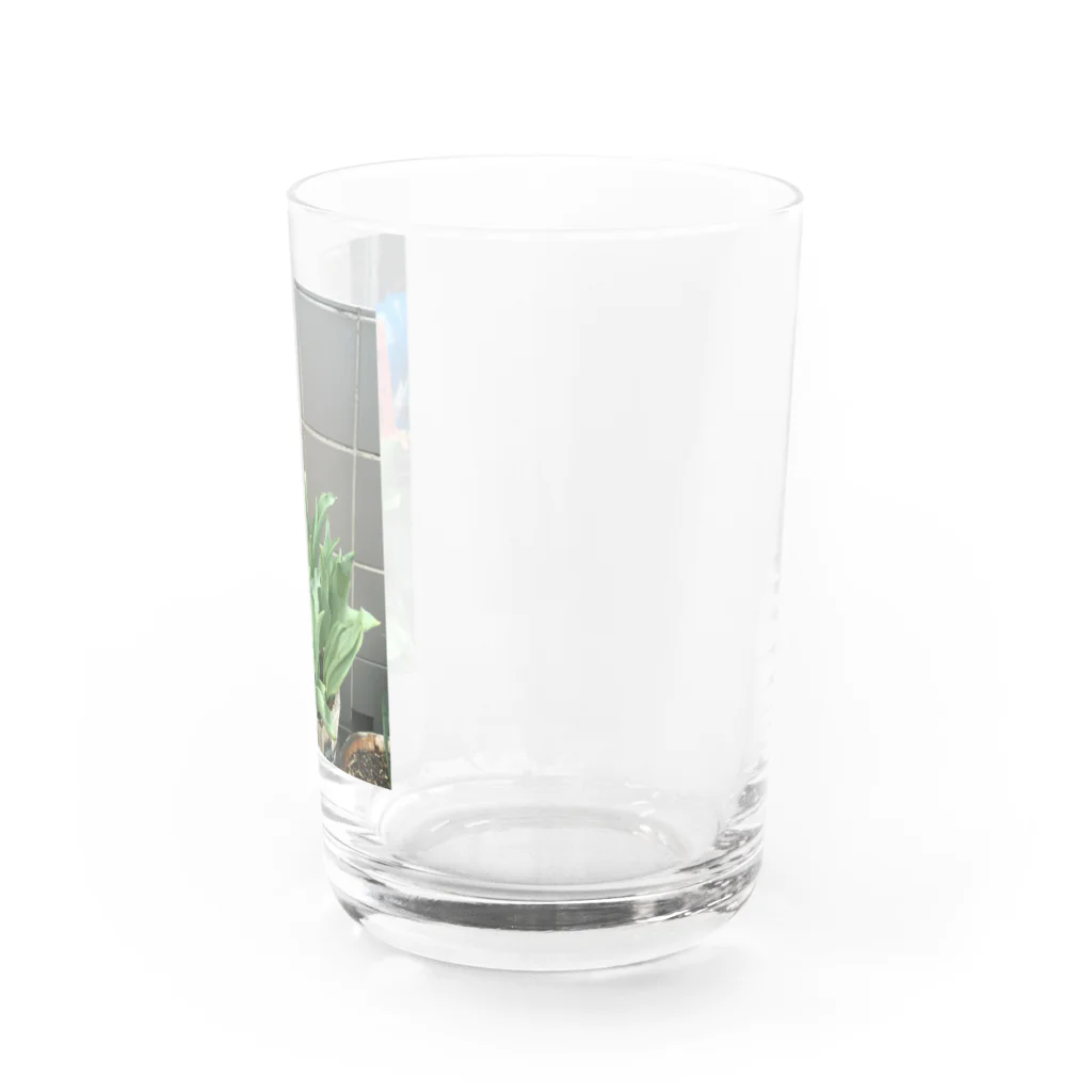 goodbyelastplanetのtulip vacation Water Glass :right