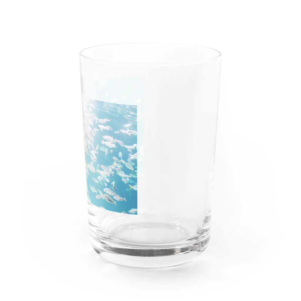 あざらしの水族館 Water Glass :right