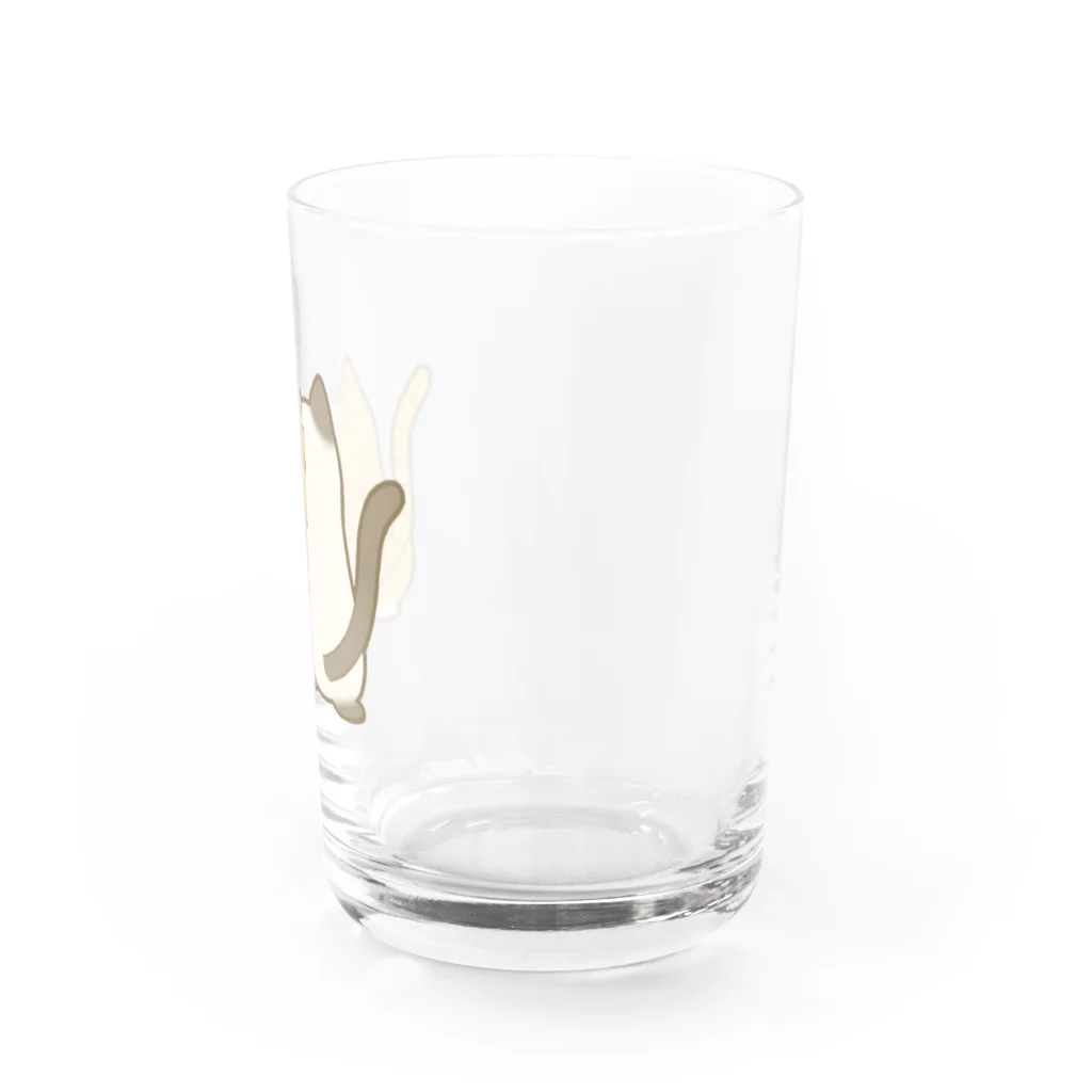 かわいいもののおみせ　いそぎんちゃくの仲良し猫の背中　茶白&ポインテッド Water Glass :right