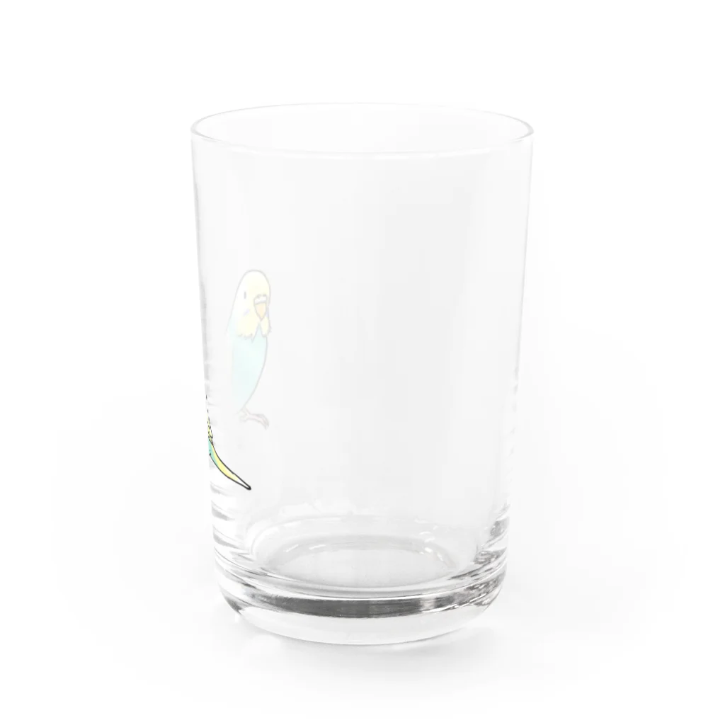 まめるりはことりのごきげんセキセイインコ【まめるりはことり】 Water Glass :right