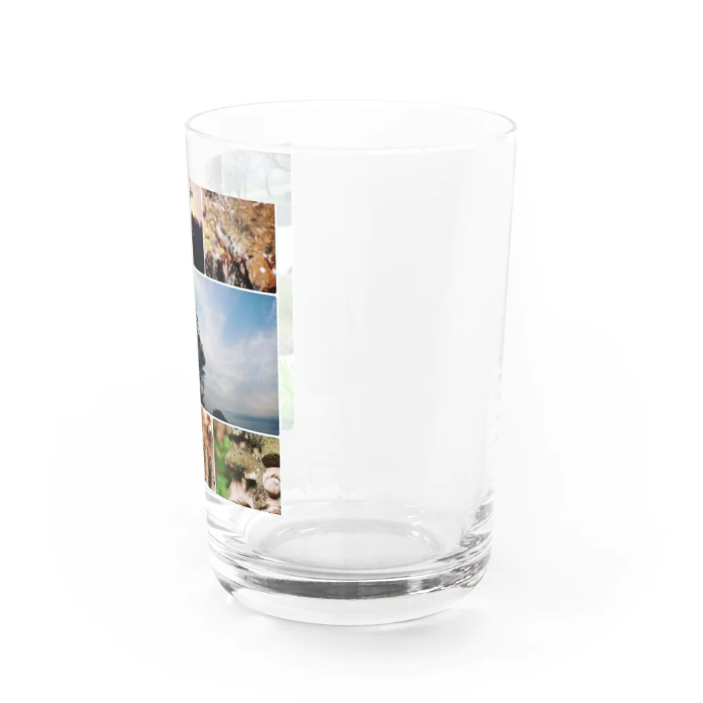 はぬんのここがどこかしってる？ Water Glass :right