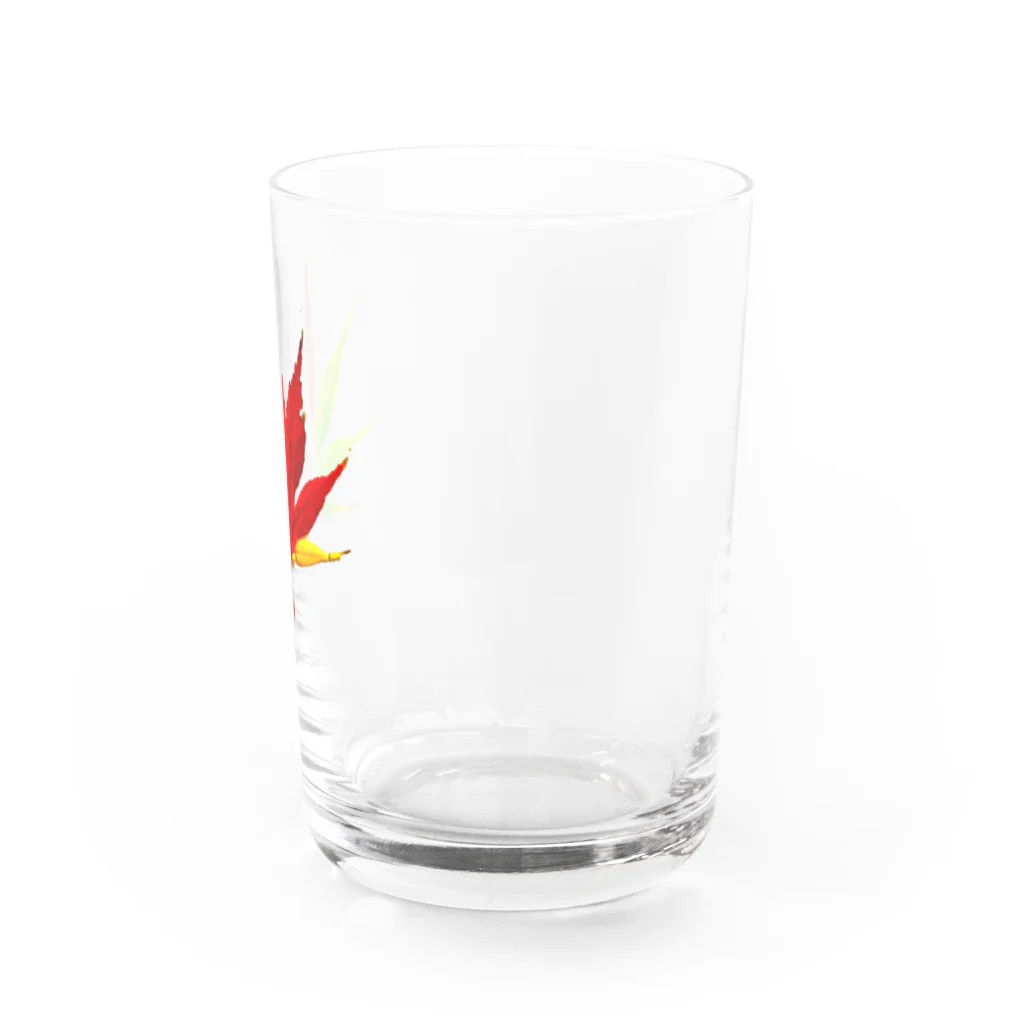 ryota@音楽/絵/英語/笑顔/猫/読書の紅葉経過中 Water Glass :right