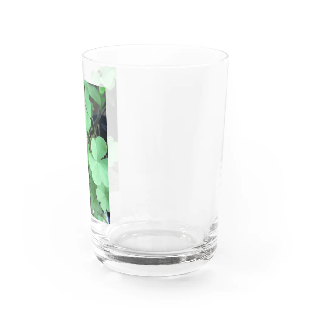 ToRaMiの幸せの四葉のクローバー Water Glass :right