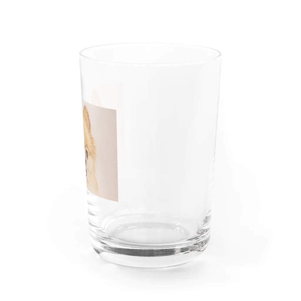 わん子＊ﾟ@ペットの似顔絵のうちの子似顔絵グッズ♪【(例)ポメラニアン】 Water Glass :right