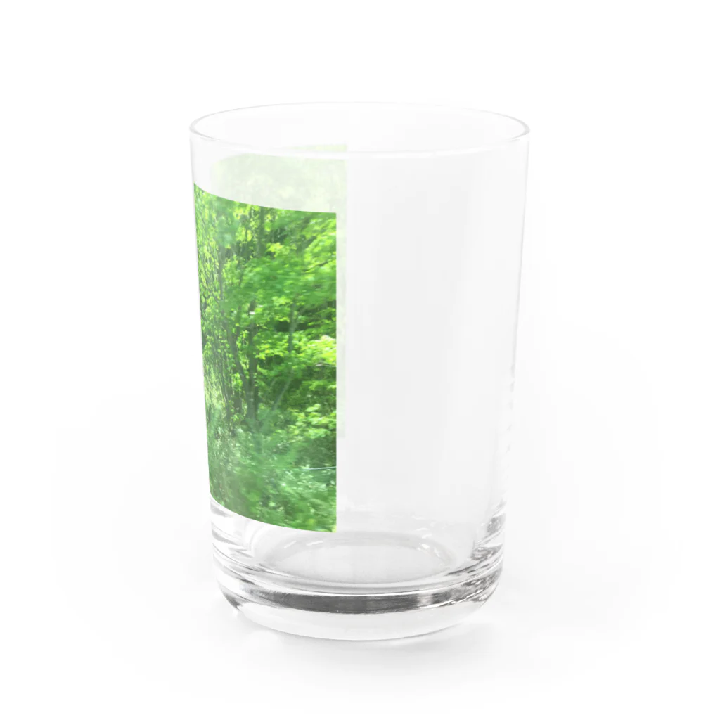waKasaのMorino Water Glass :right