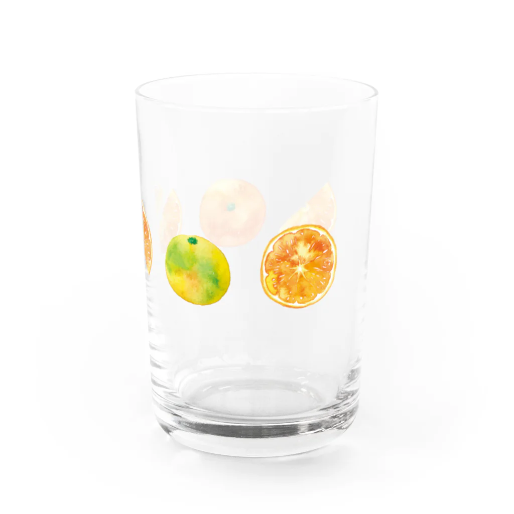 さとろくのみかんグラス Water Glass :right