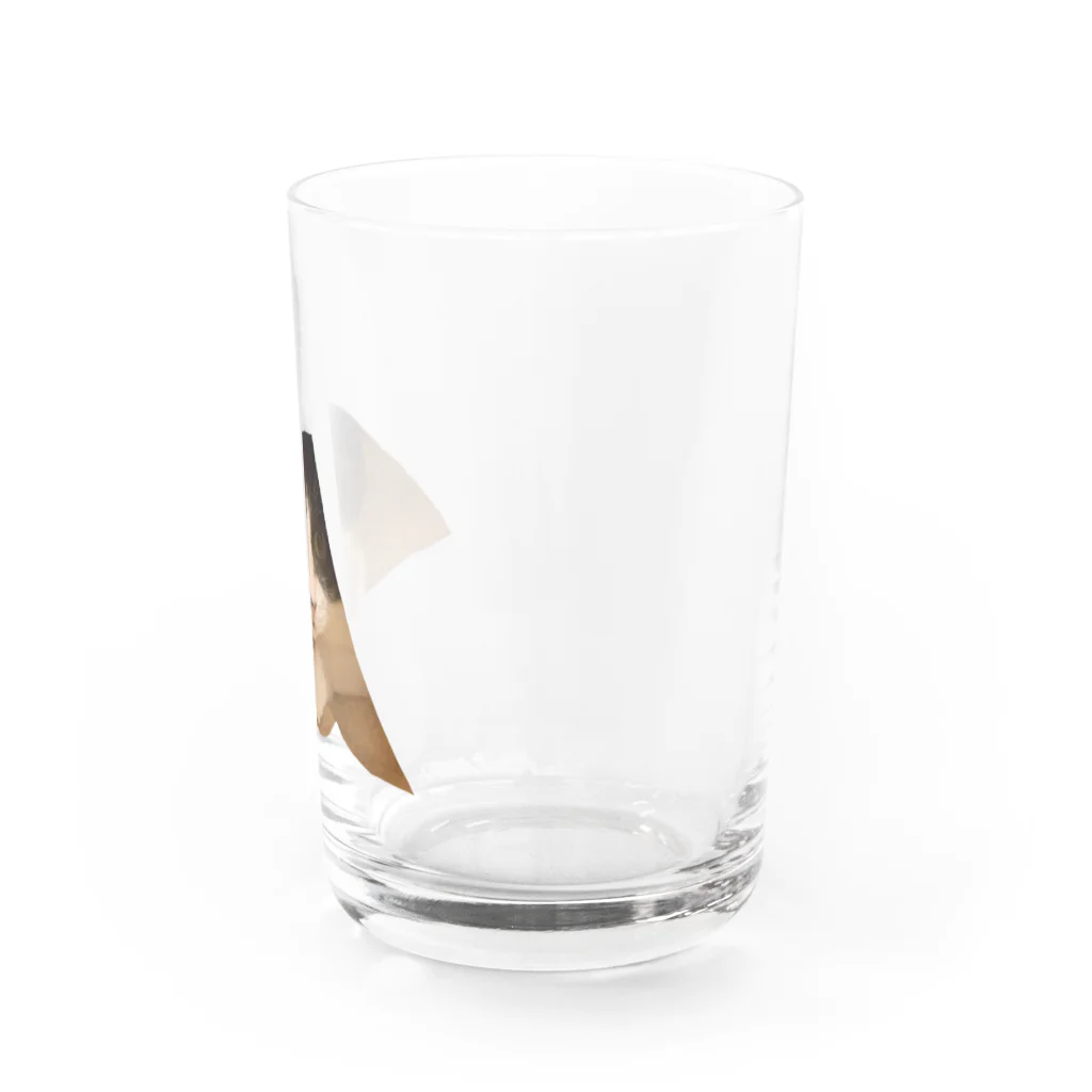 5masのはちわれの潜伏 Water Glass :right