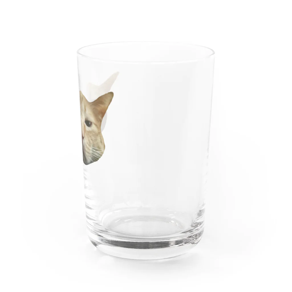 PROTONアンティークス    米国宝石学会ジェモロジストのヤスシ③よこひろがり Water Glass :right