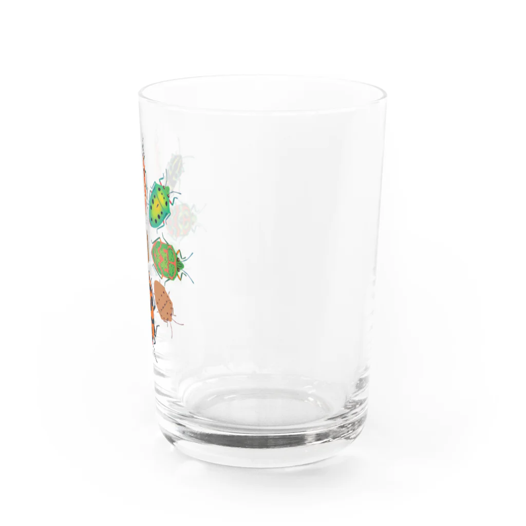 みのじの日本のキンカメムシ  Water Glass :right