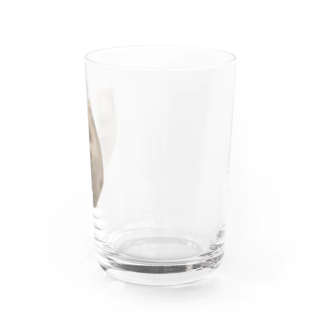 aseaseの忘れられないぜ過去の栄光2(透) Water Glass :right