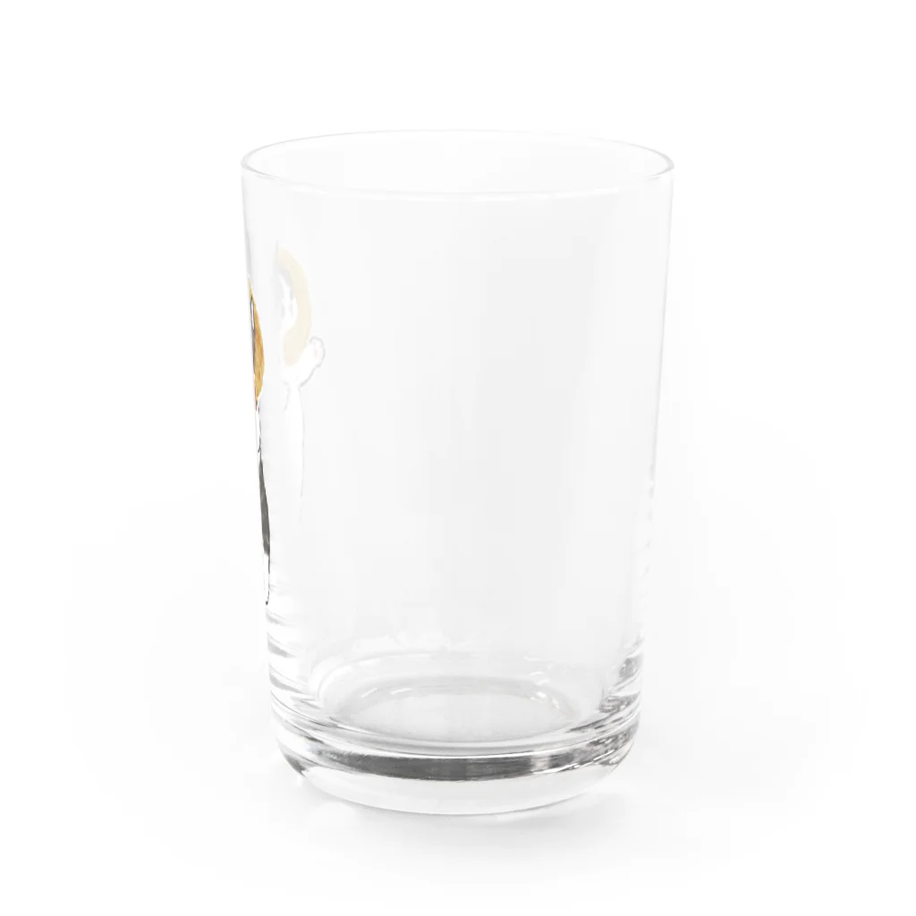 mofusandのエビフライにゃん Water Glass :right