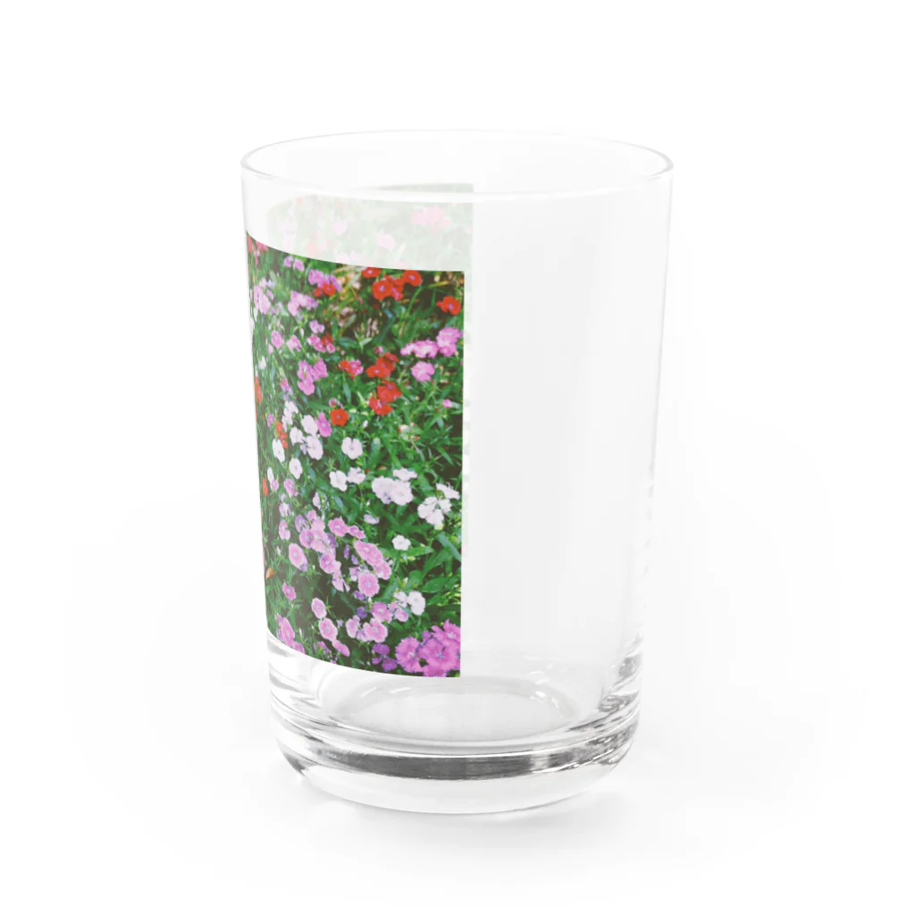 あこがれの花畑 Water Glass :right