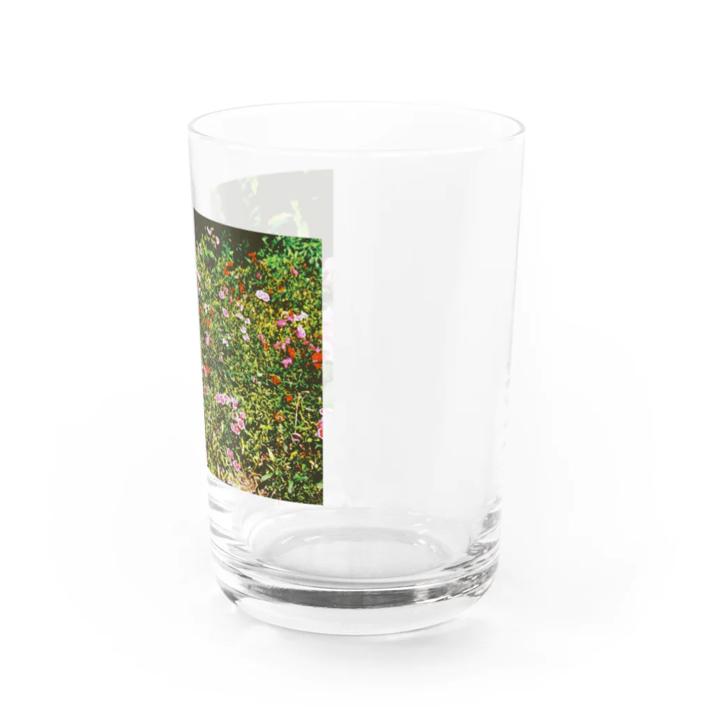 あこがれの花畑2 Water Glass :right