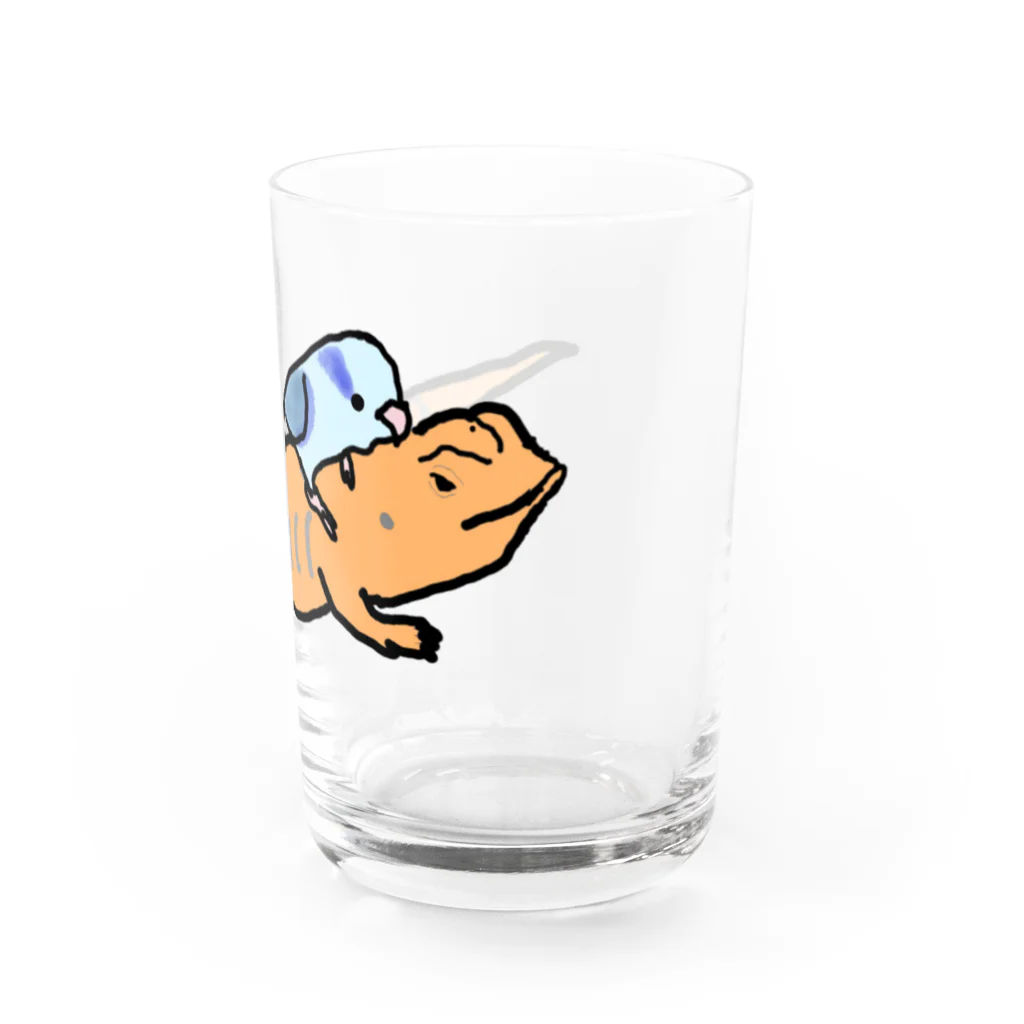 mamemameのまめるりは Water Glass :right