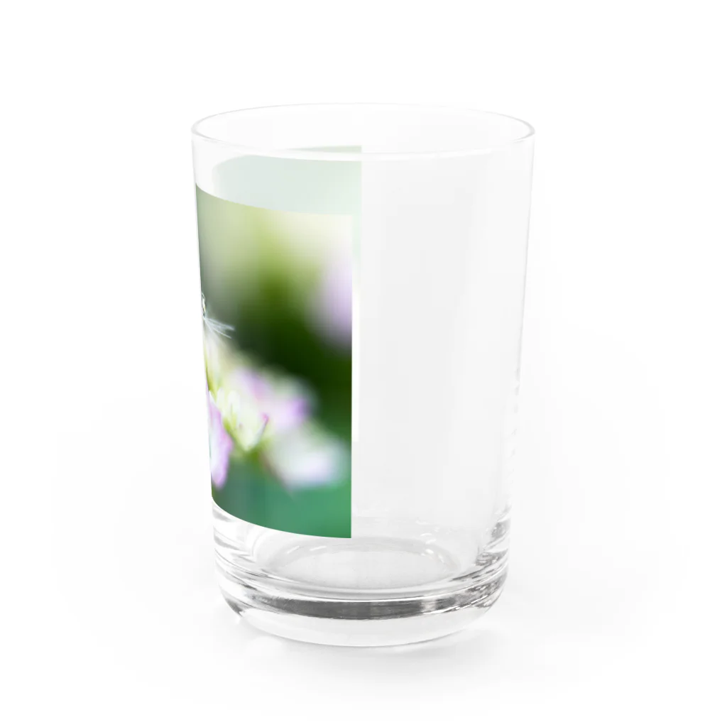 PhotoAtelier Aileのangel of hydrangea 170603 Water Glass :right