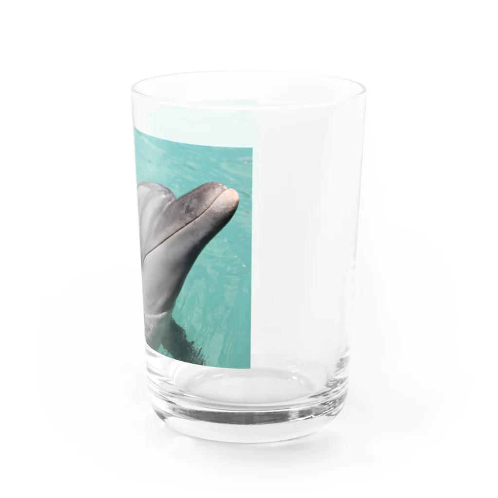 smile牧場のイルカちゃん Water Glass :right