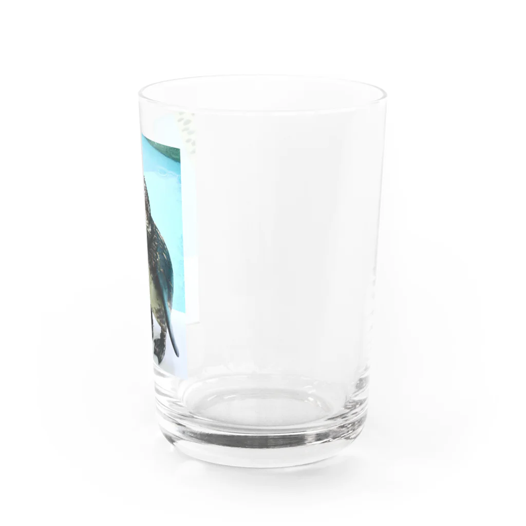 machiko kのエサまちのペンギン Water Glass :right