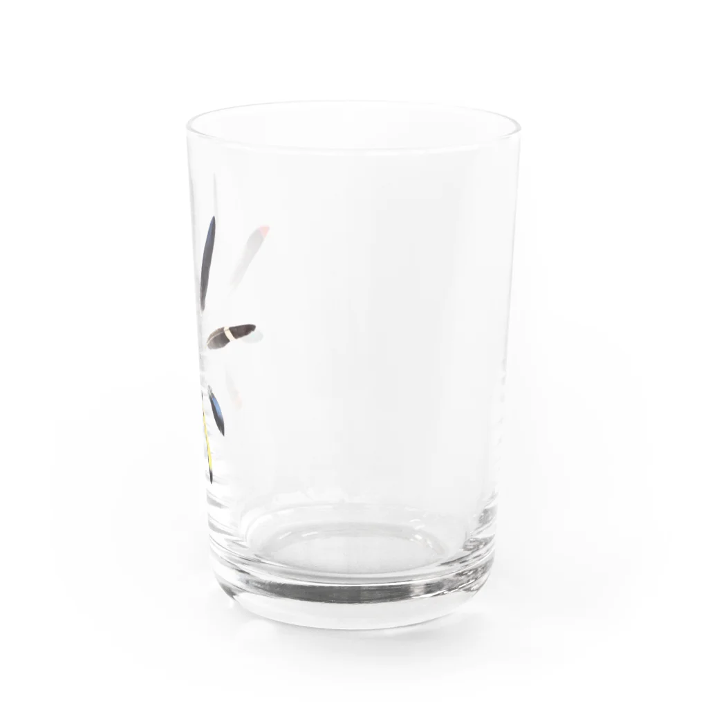 ヤマドリ屋のNO BIRD NO LIFE Water Glass :right