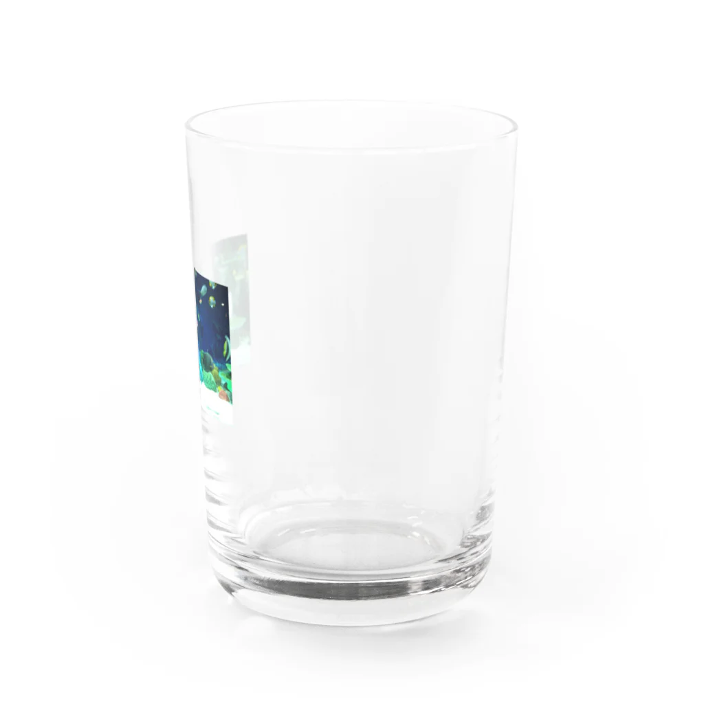 takenokoのアクアリウム グラス右面