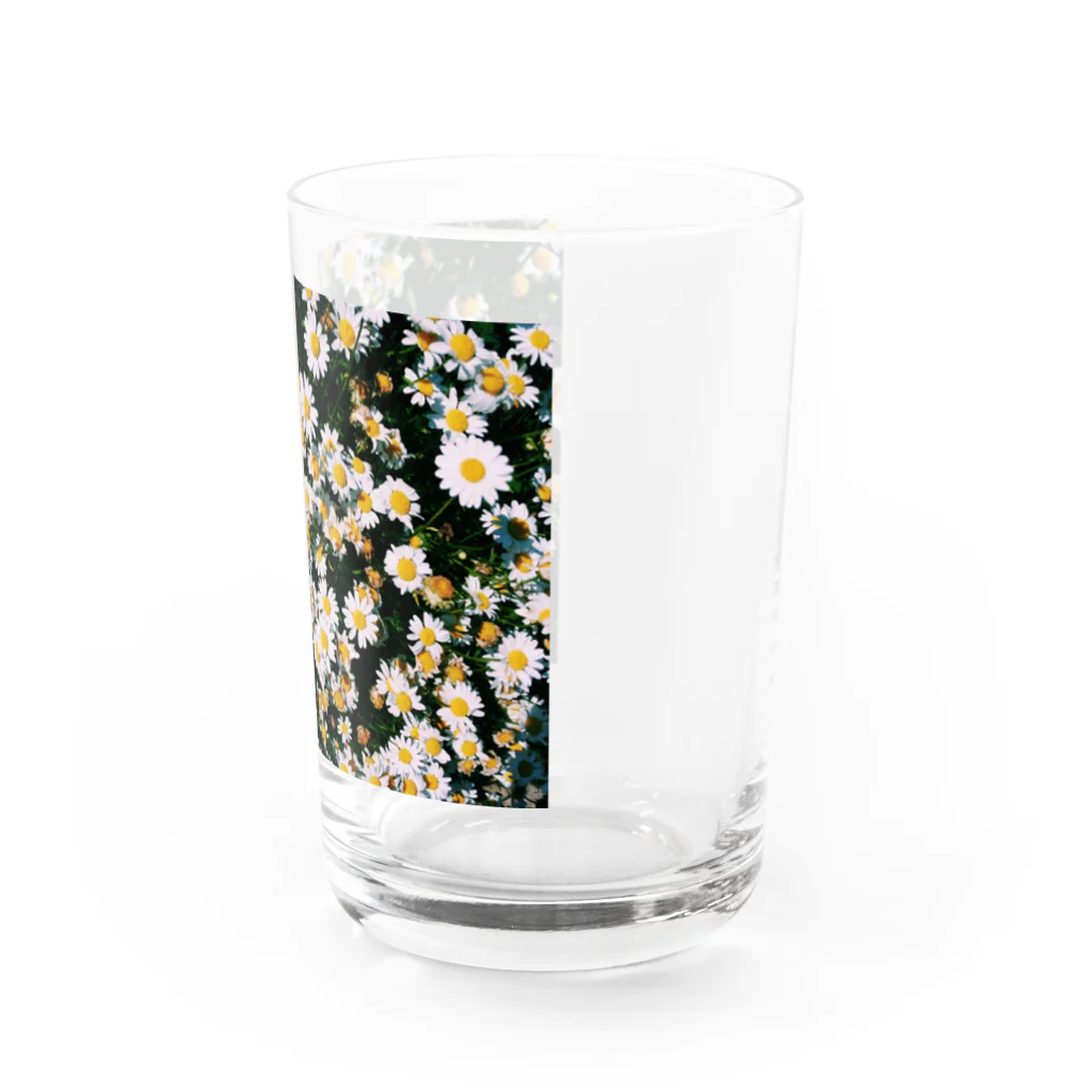 タビーランドの小さい白い花畑 グラス右面