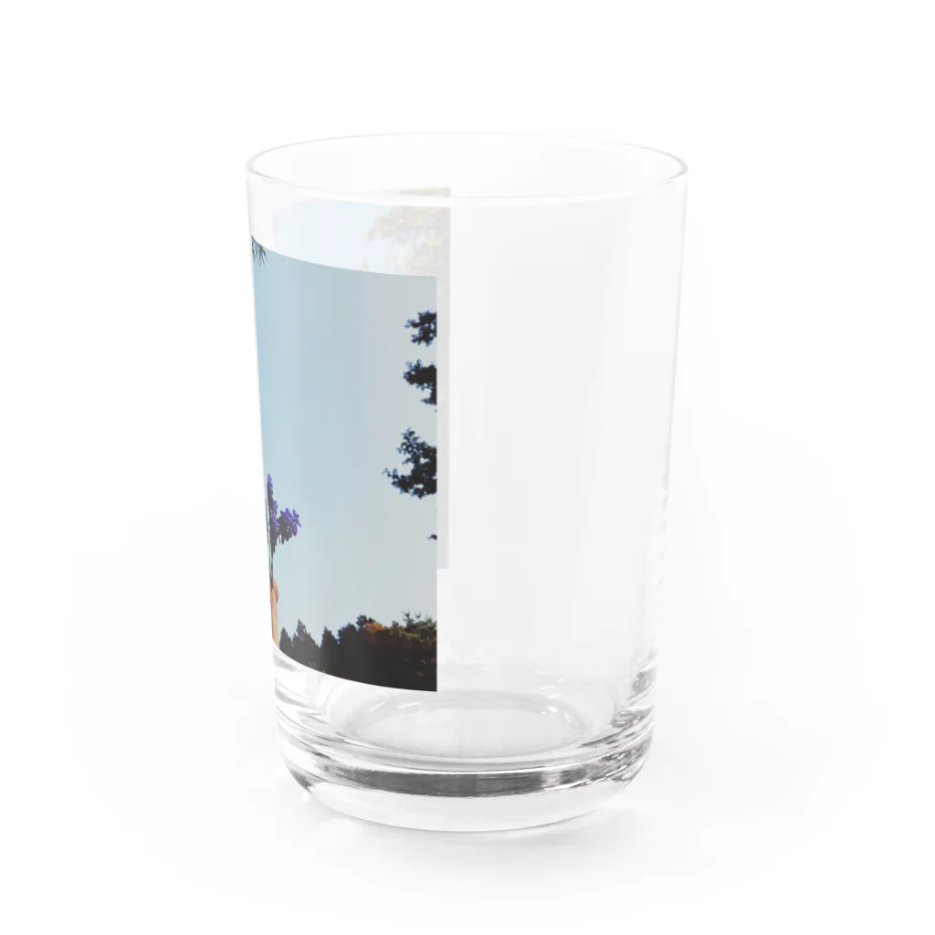 こじらせみきの庭の花 Water Glass :right