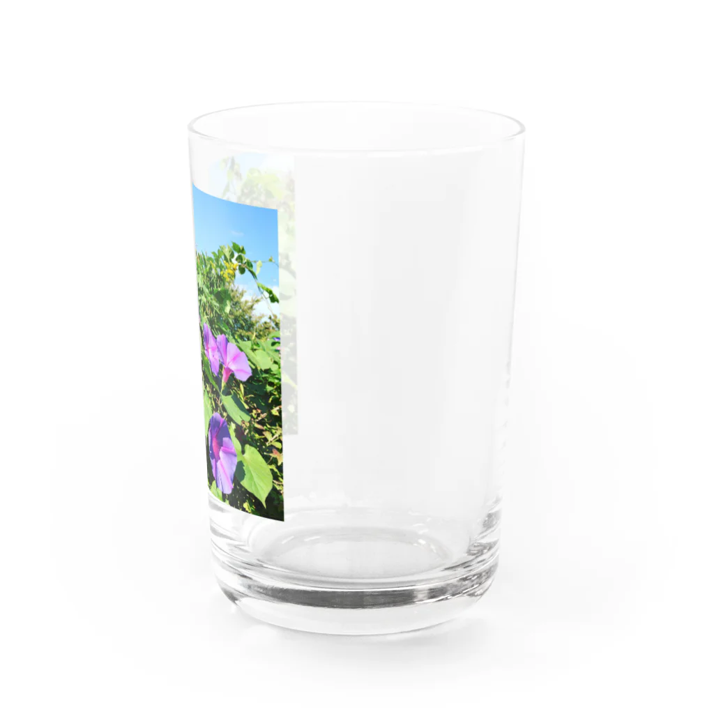 chachakoo5の夏の花 Water Glass :right