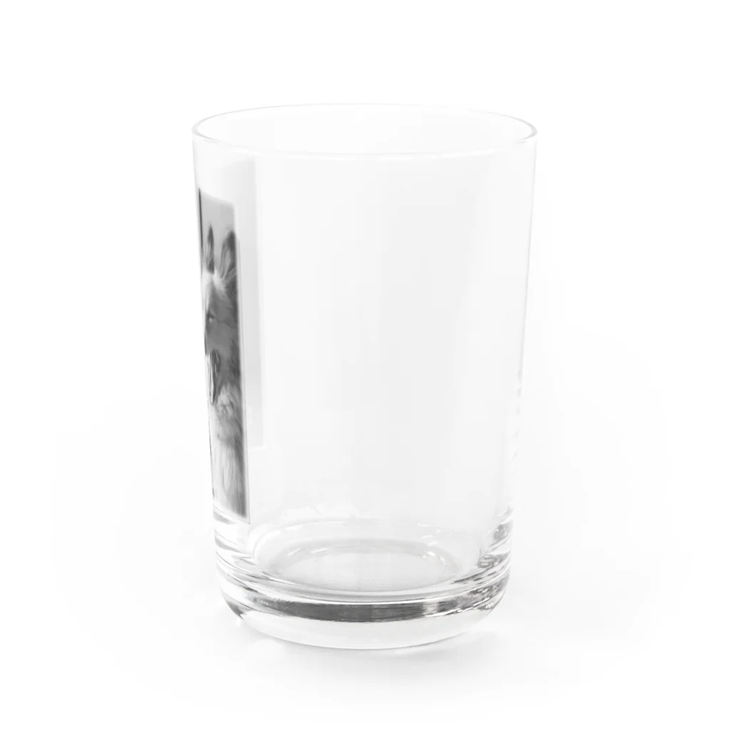 シャンティ　フォトのあくび幸太郎 Water Glass :right