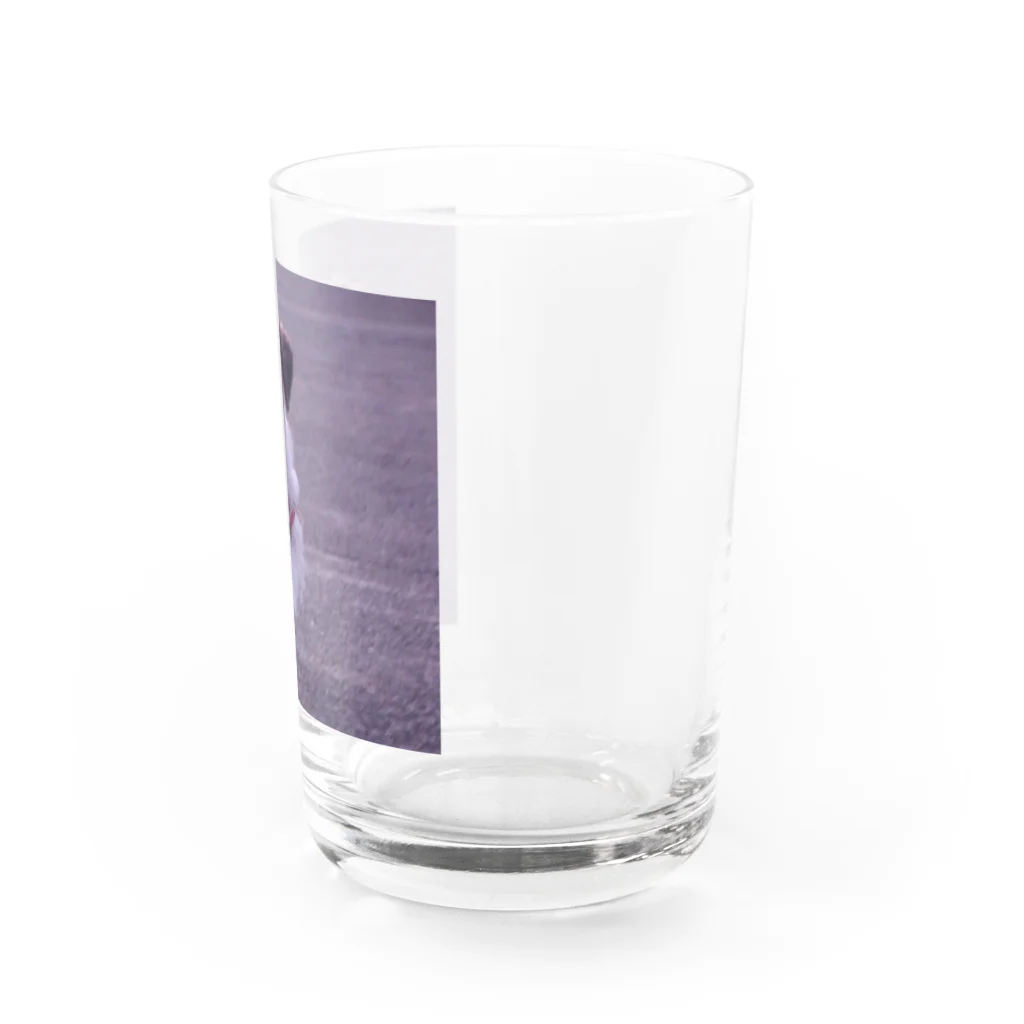 心メロンの心ちゃんグッズ Water Glass :right