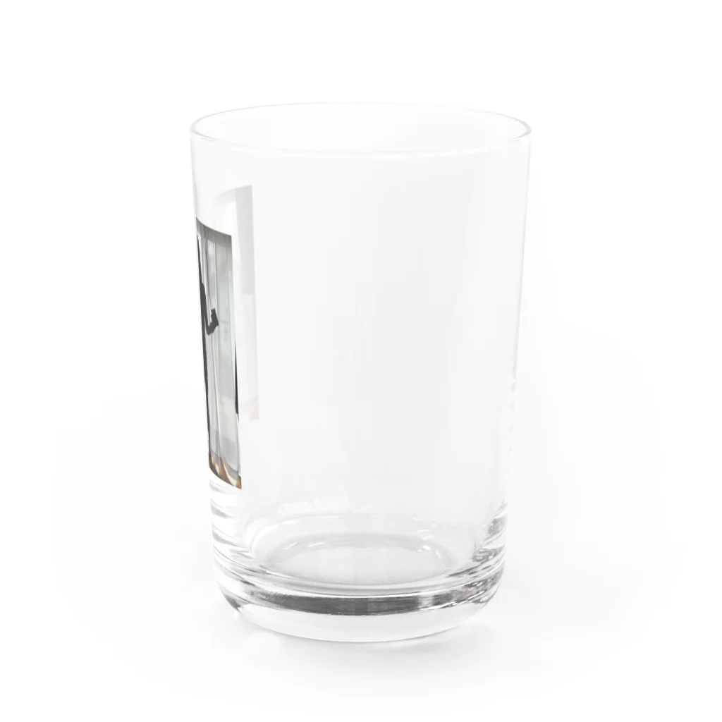 社会奉仕のピン2 Water Glass :right