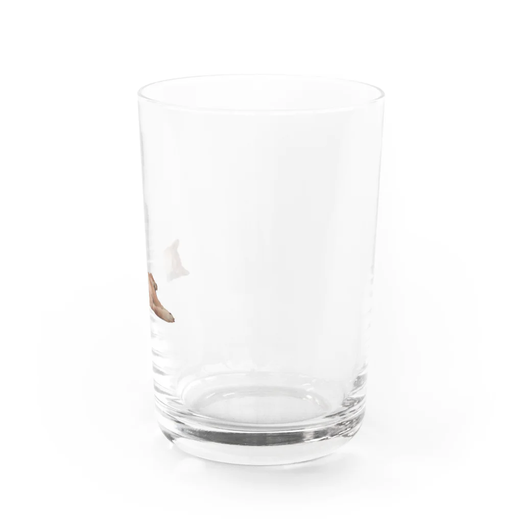 kiichacoの-犬- よこたわるみかん Water Glass :right