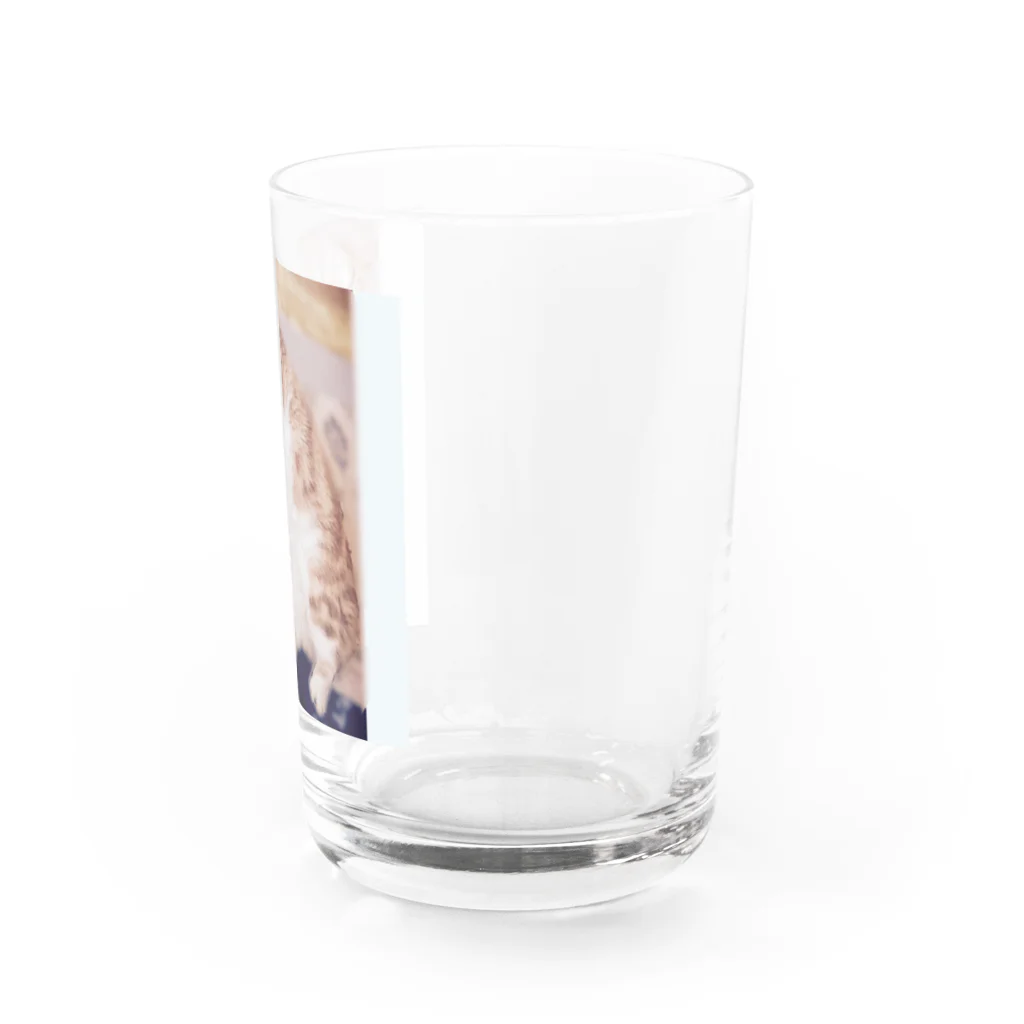 ゆらゆらゆ〜らの焼酎飲み過ぎにゃんこ Water Glass :right