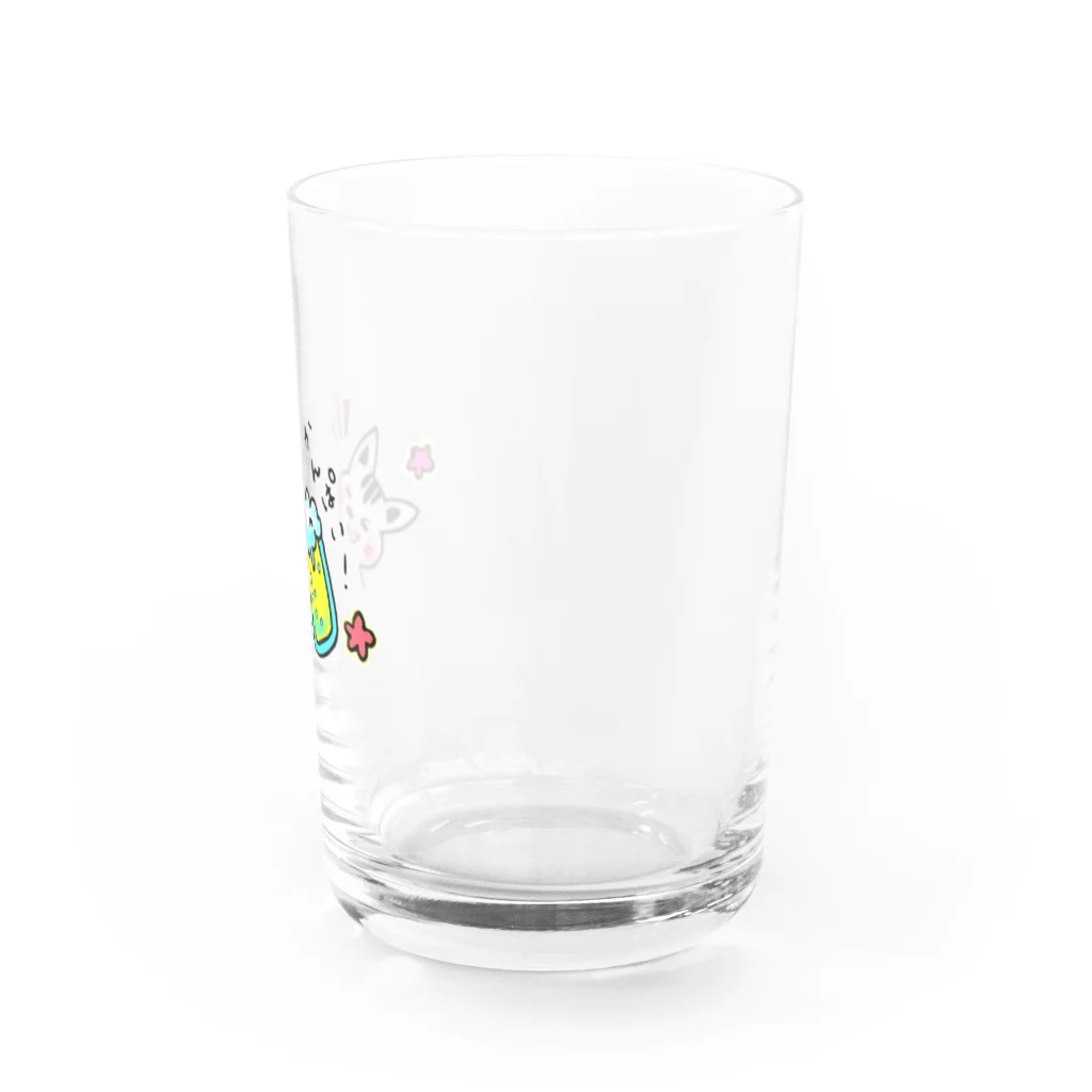 mamimuuの気まぐれ猫のルー。(かんぱい) Water Glass :right