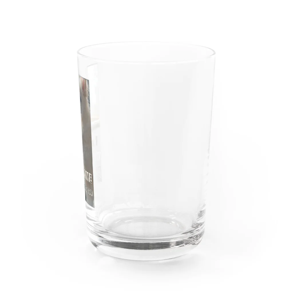 わたあめ屋 オンラインカジノとFXの人 ツイッター常に居る。のMYNAME わたあめ Water Glass :right