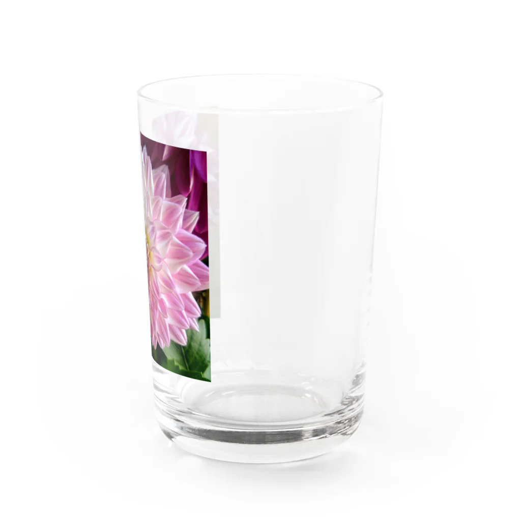 seide.blume～Ｄ＊Ｒ～のダリア Water Glass :right