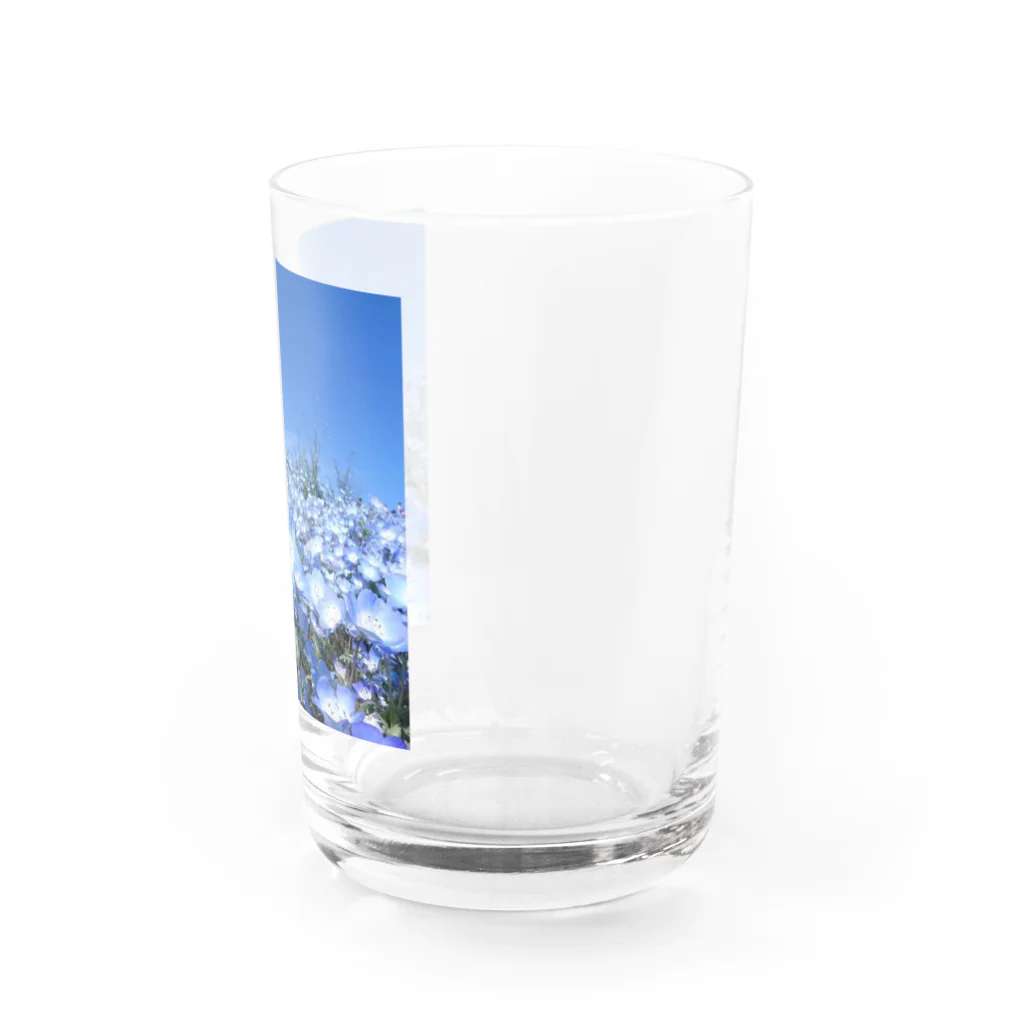 心メロンのネモフィラブルー💙 Water Glass :right