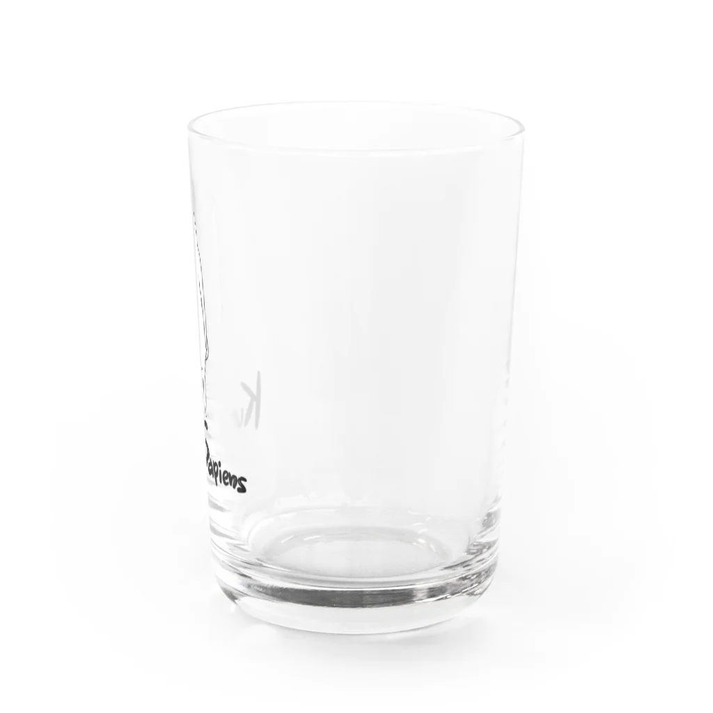 クマ・サピエンスのKumaSapiens Water Glass :right