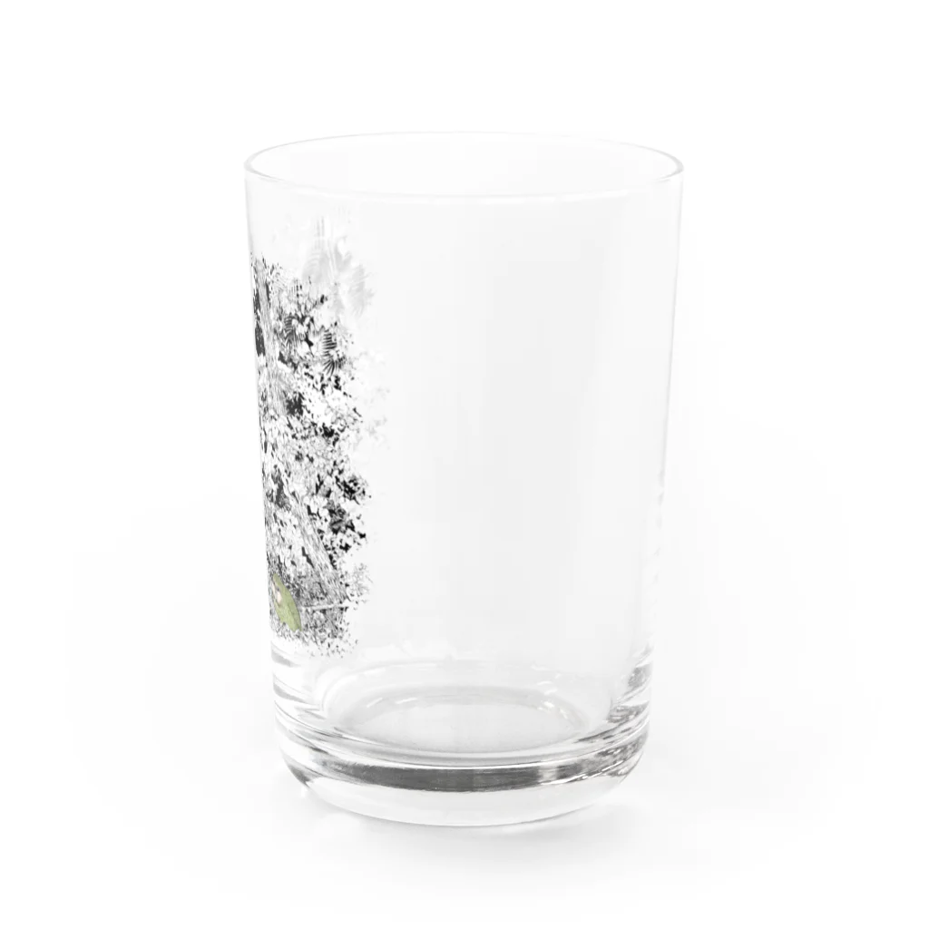 にことめこのフクロウオウム　カカポ iro Water Glass :right