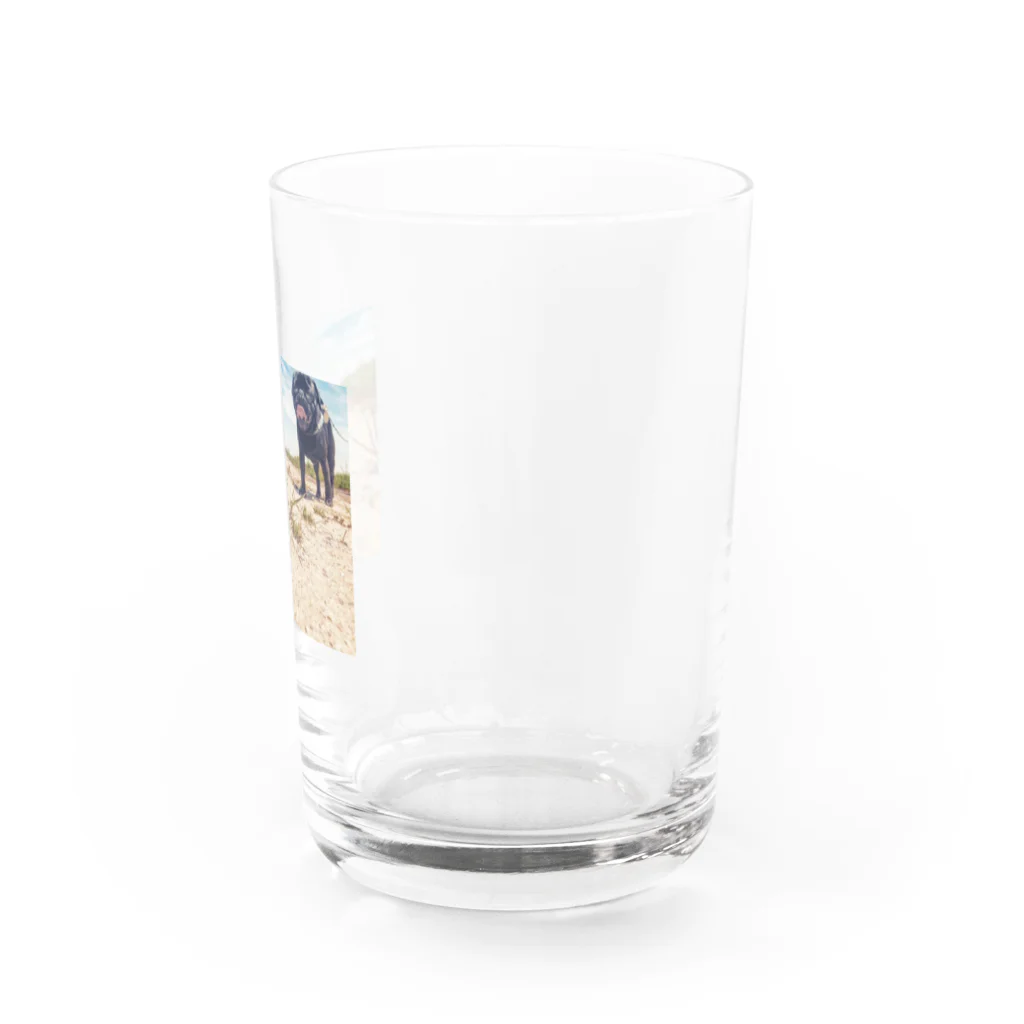 咲月の巨大パグ Water Glass :right