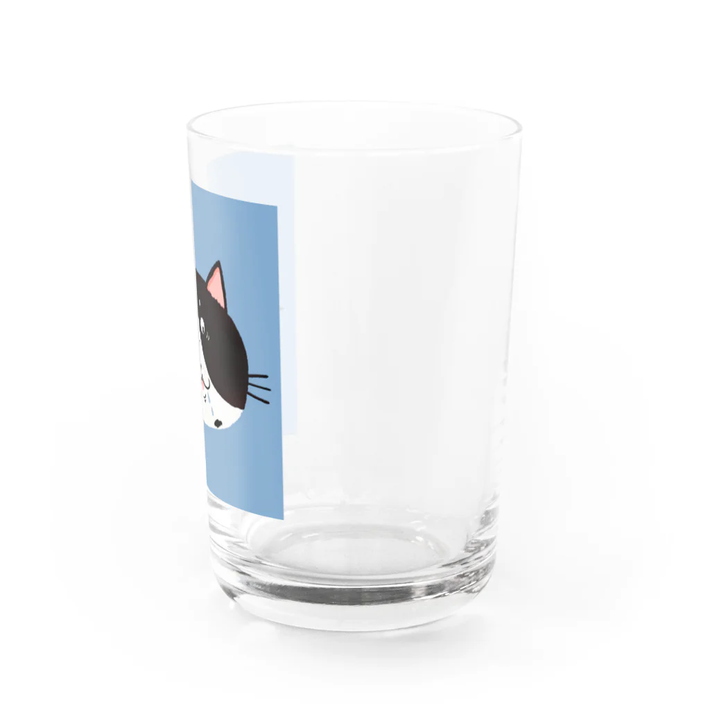 あおた｜猫好きイラストレーターのお茶目ブサカワフェイスの白黒ハチワレ猫 Water Glass :right