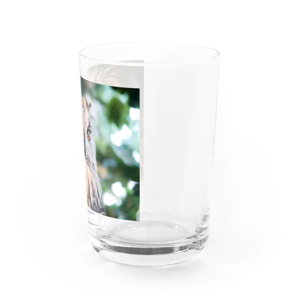 ヤバイふくろう屋さんのイケテルふくろうくん Water Glass :right