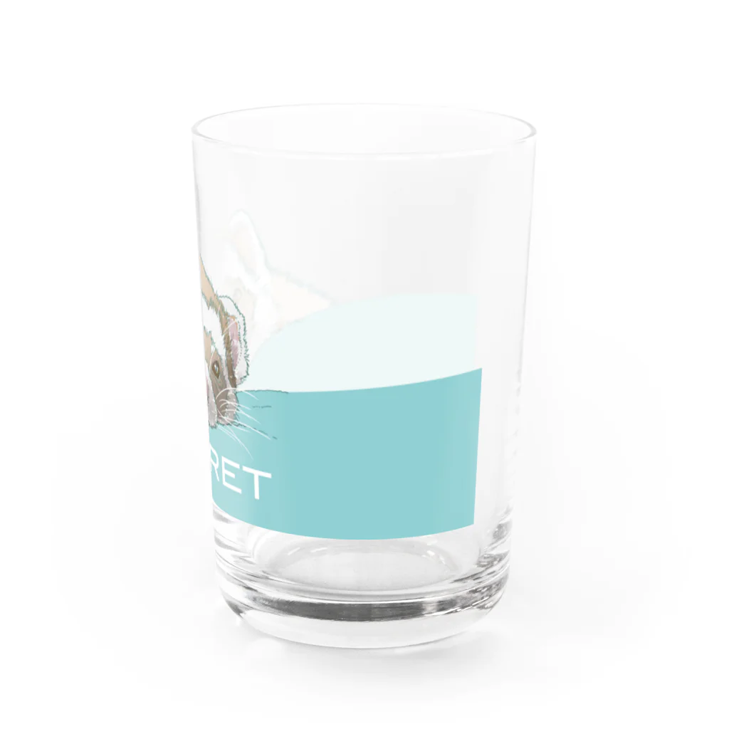 sasabayashi8のうとうとフェレット Water Glass :right