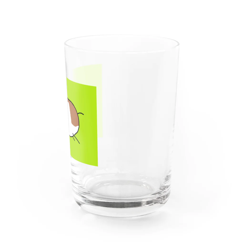 ミッコラは家から出ないのエリートハムスター Water Glass :right