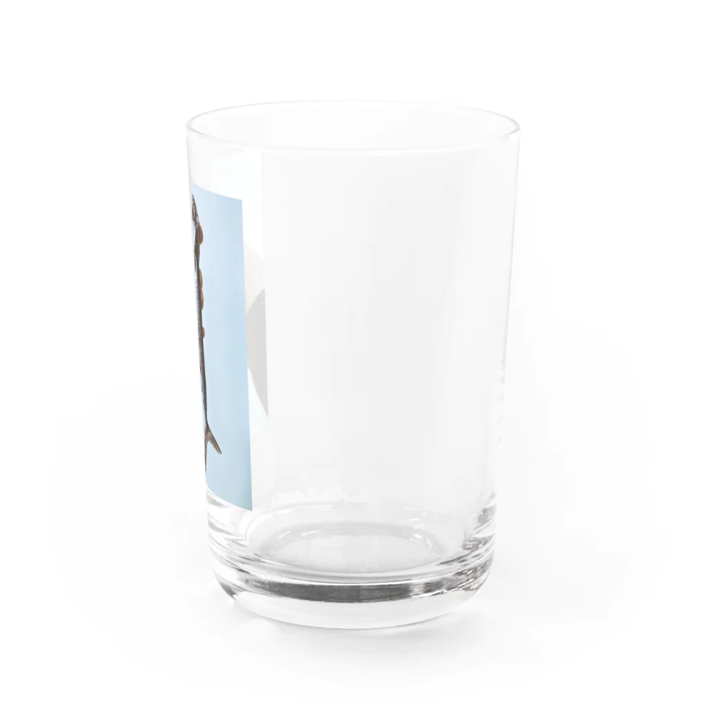 Cut ing/oveのとびうお君 Water Glass :right