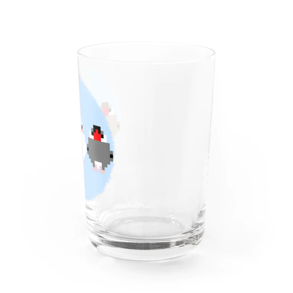 rodentのドット文鳥ズ Water Glass :right