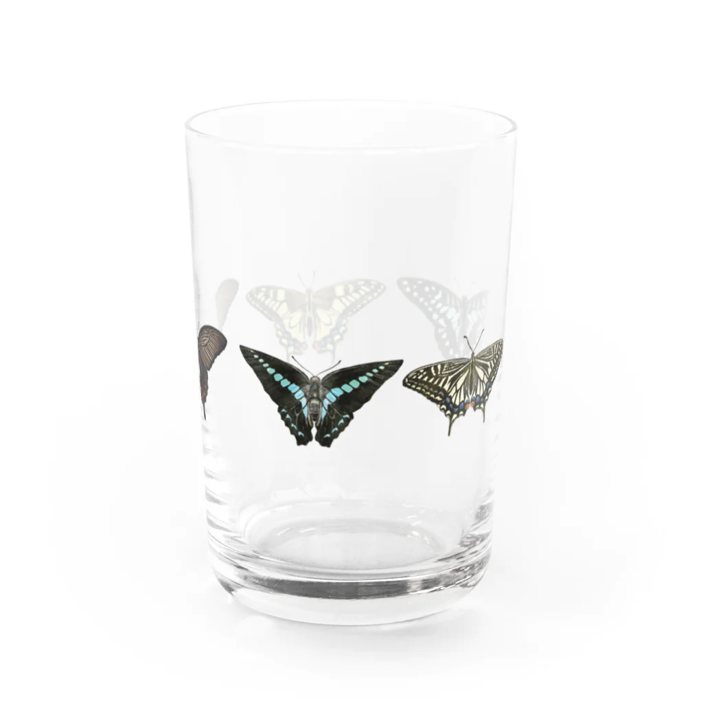 kitaooji shop SUZURI店のアゲハ蝶5種 Water Glass :right