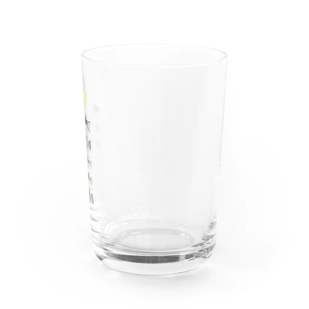 砂糖馬の親保護下の稚魚 Water Glass :right