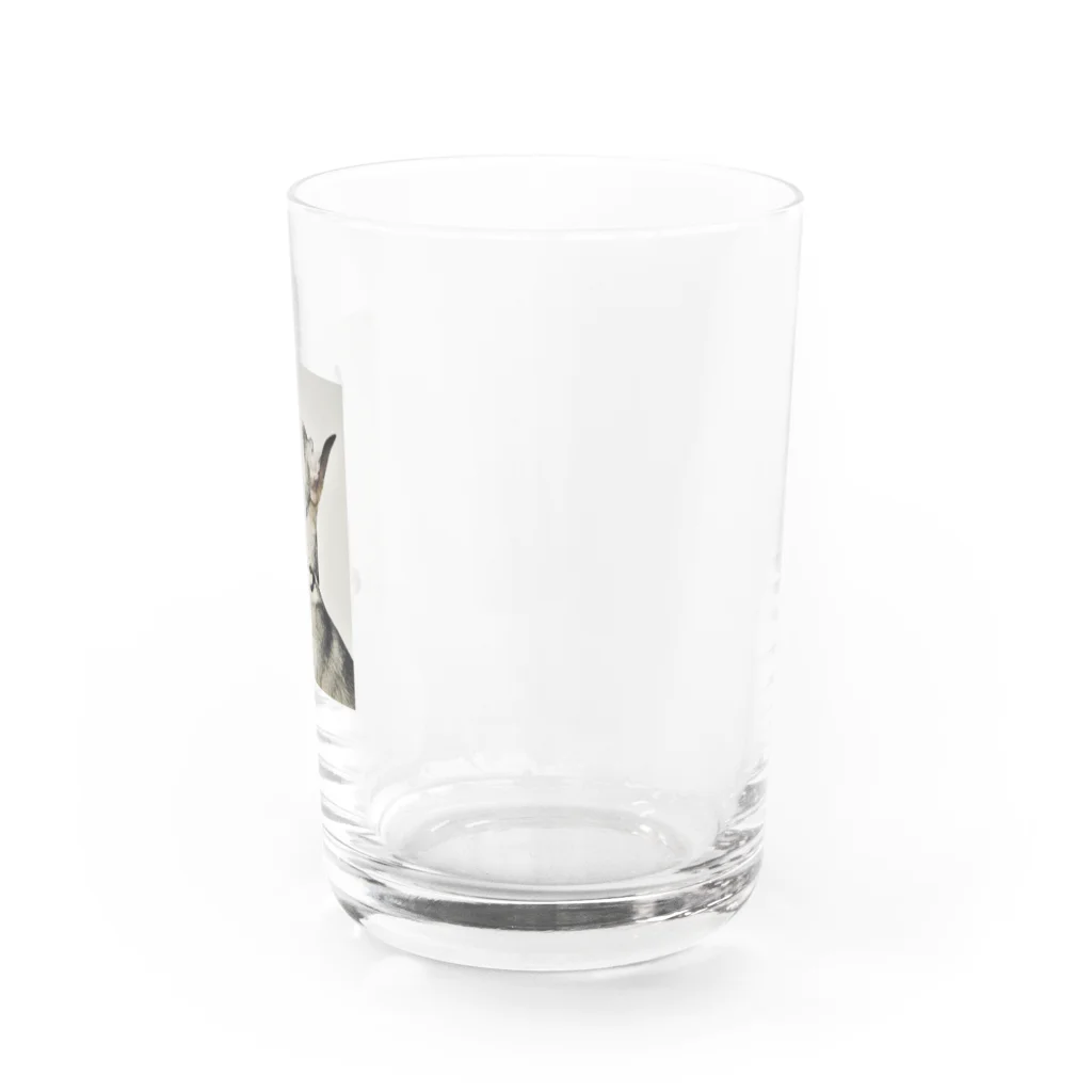 Kaori SasakiのMonSun Water Glass :right