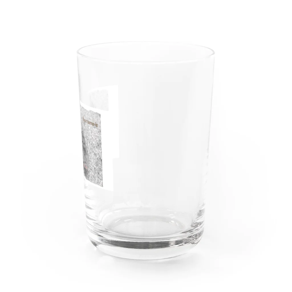 なでしこ@デザインの君の名は～Your name is～ Water Glass :right