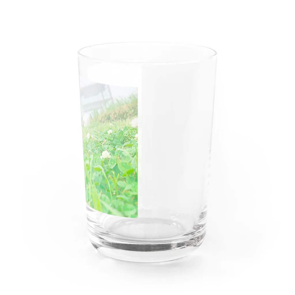 Nanaの芝生 四つ葉のクローバー お花 Water Glass :right